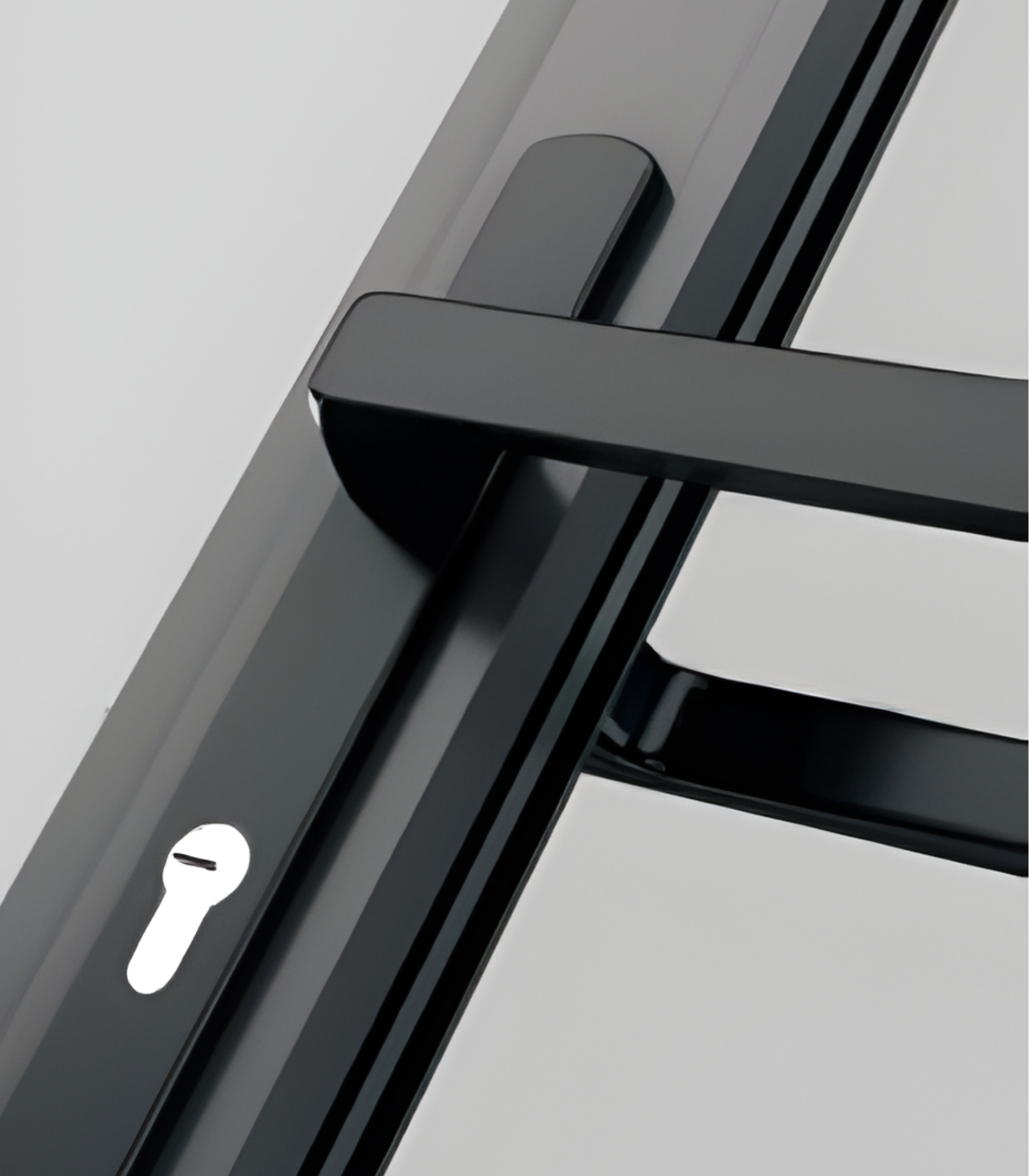 VLX 100 Swing / Entry Door in Los Angeles, CA | Westlight Windows & Doors - detail 3
