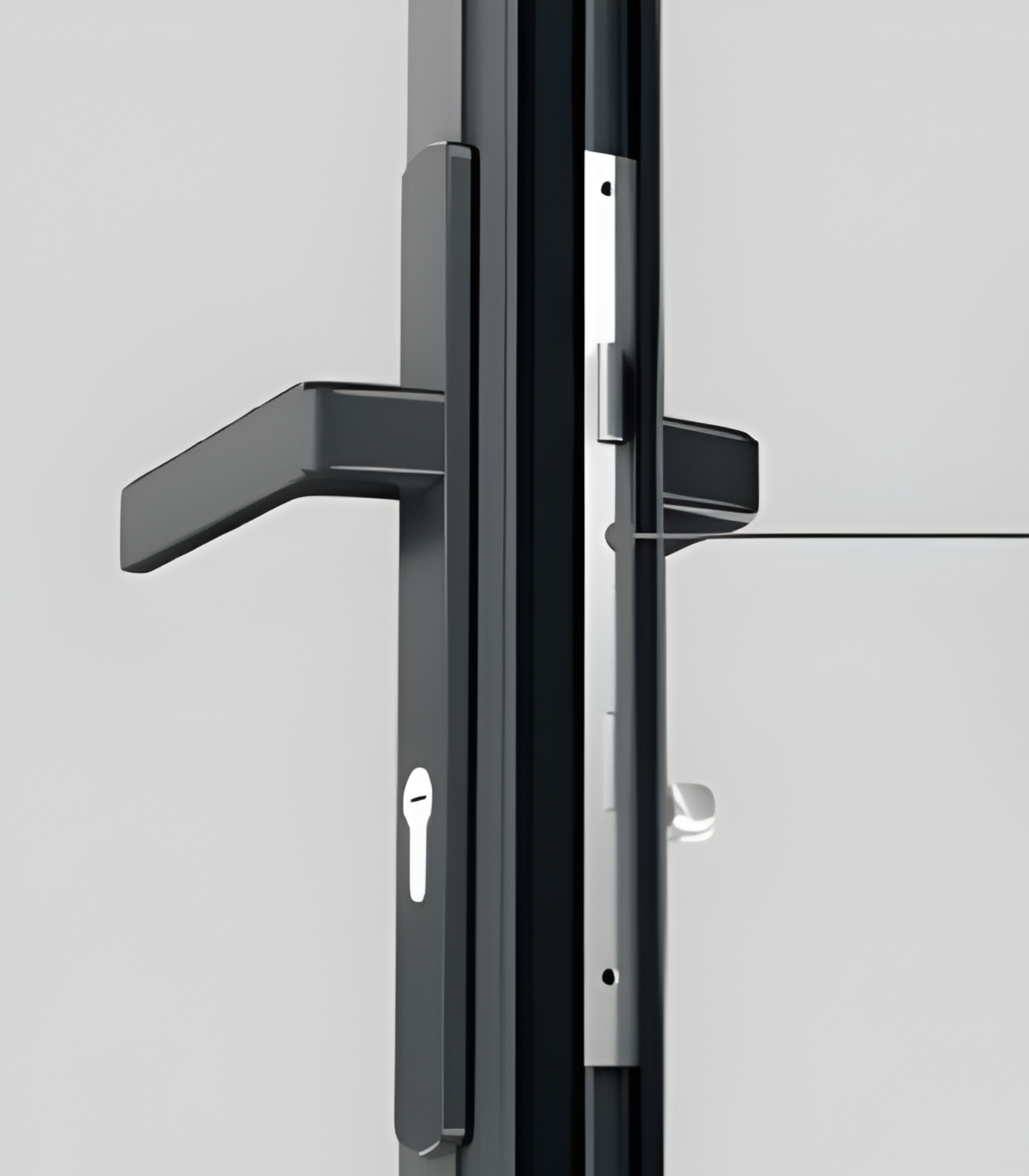 VLX 100 Swing / Entry Door in Los Angeles, CA | Westlight Windows & Doors - detail 5